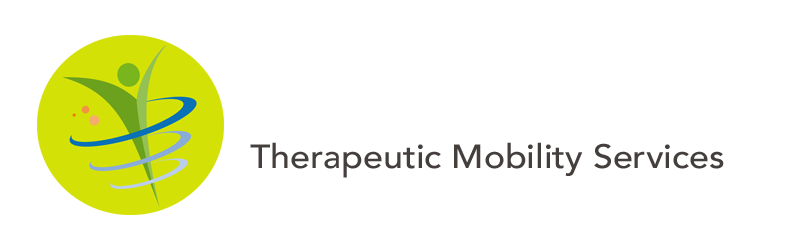 Therapeutic Mobility Services / Theramobility